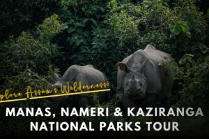 Kaziranga National Park Tour