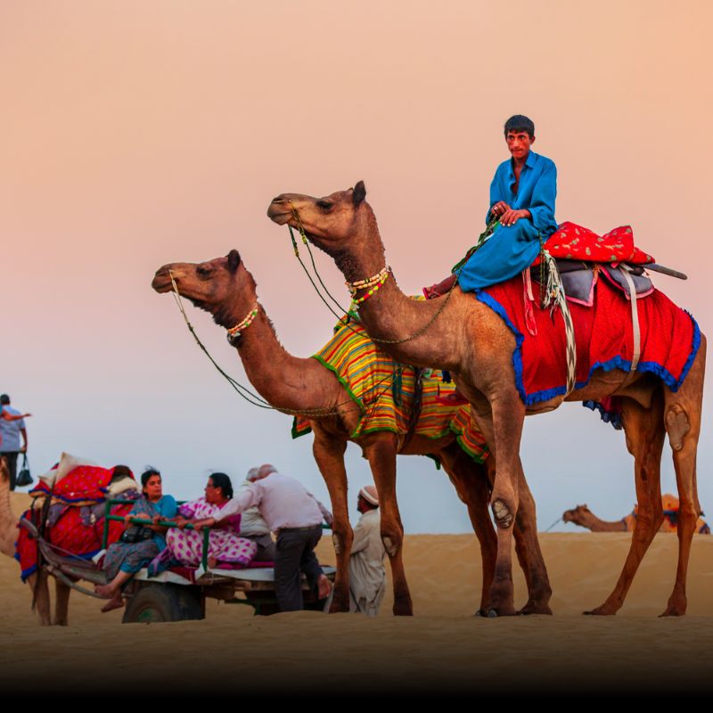 Rajasthan Camel Safari Tour package