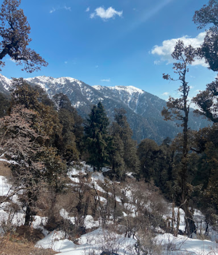 Churdhar Trek