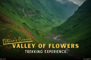 Valley of Flower Trek Package (2)