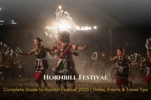 Hornbill Festival Tour Package (2)