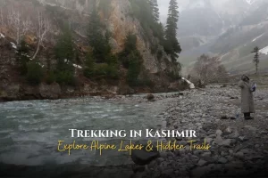 Trekking in Kashmir – Explore Alpine Lakes & Hidden Trails