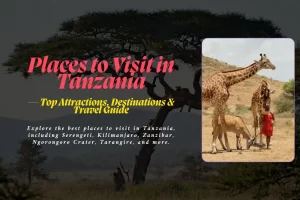 Explore the best places to visit in Tanzania, including Serengeti, Kilimanjaro, Zanzibar, Ngorongoro Crater, Tarangire, and more.