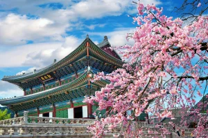 South-Korea-Tour-Places