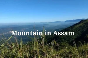 mountain in assam