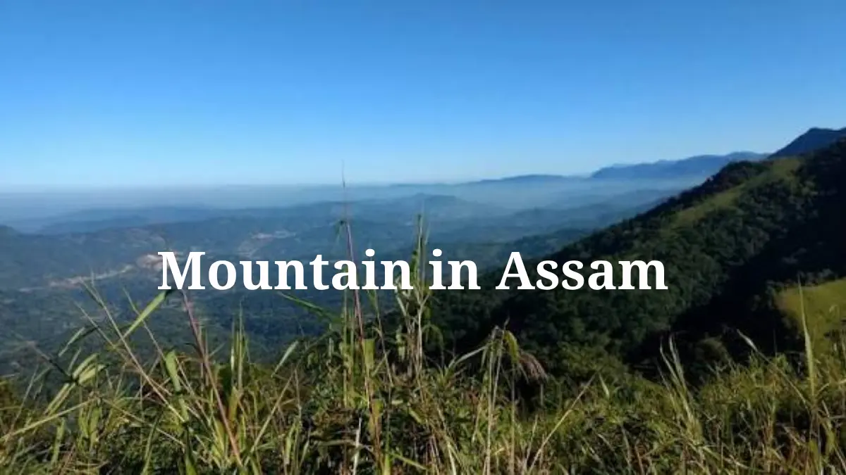 mountain in assam