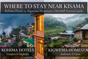 Where to Stay Near Kisama Kohima Hotels vs. Kigwema Homestays (Hornbill Guide)