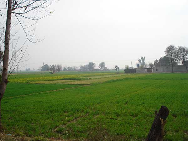 Haryana Haryana