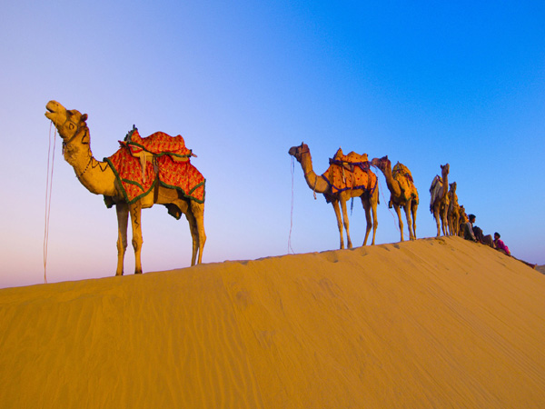 Rajasthan Rajasthan