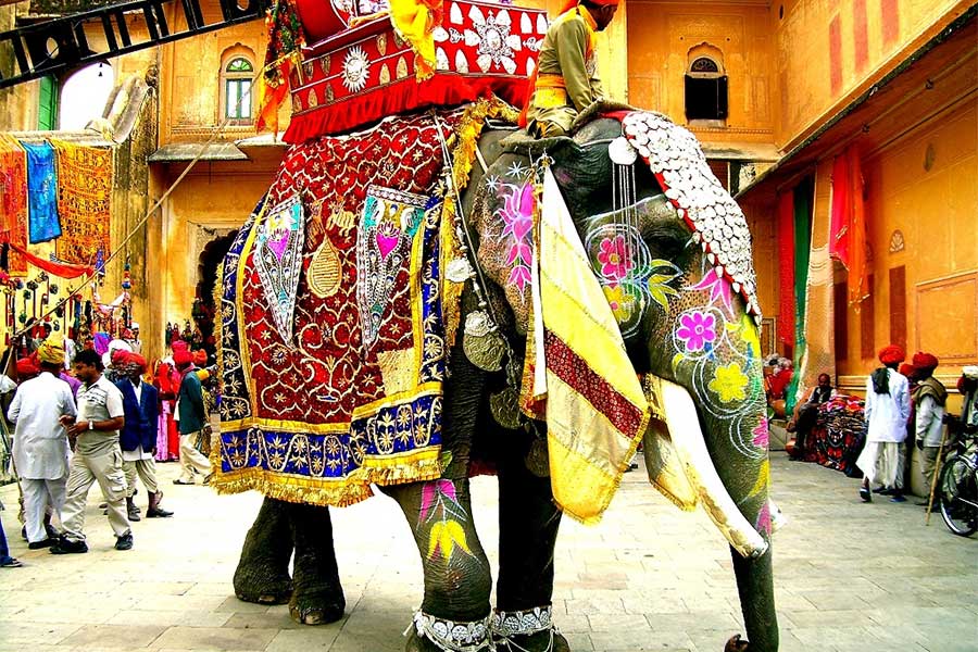 Elephant Ride in Rajasthan