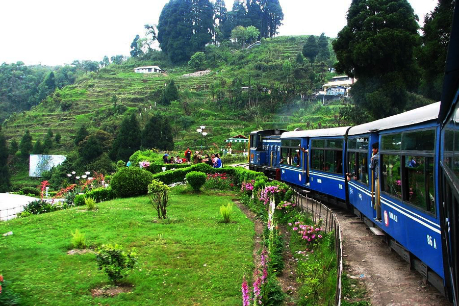 Darjeeling & North Sikkim - The Orchid Safari