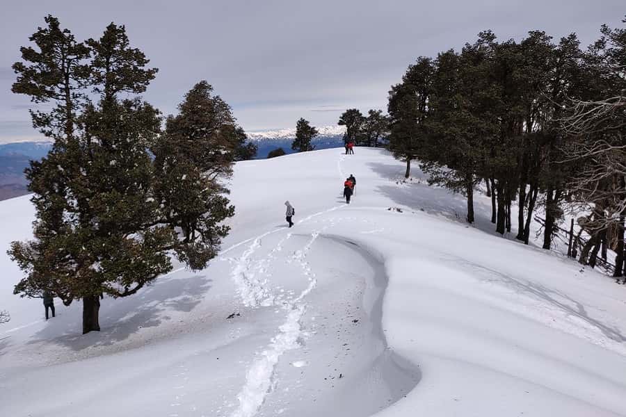 Nag Tibba Trek, Uttarakhand