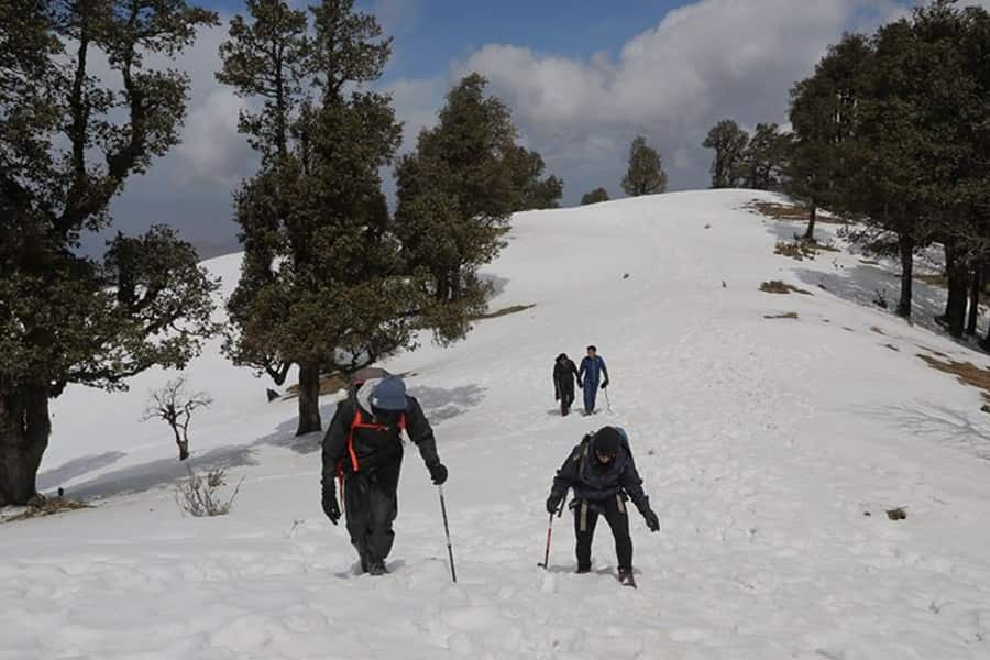 Nag Tibba Trek, Uttarakhand