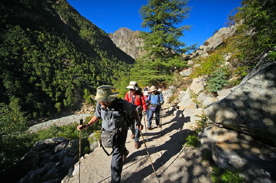 Gaumukh Tapovan Trek - Garhwal Himalayas, Uttarakhand