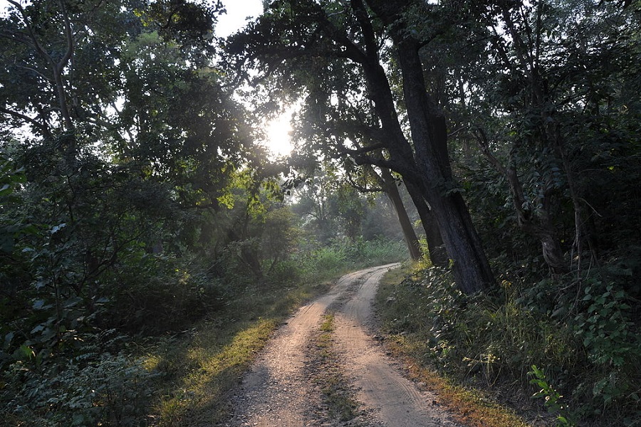 India Wildlife Tour