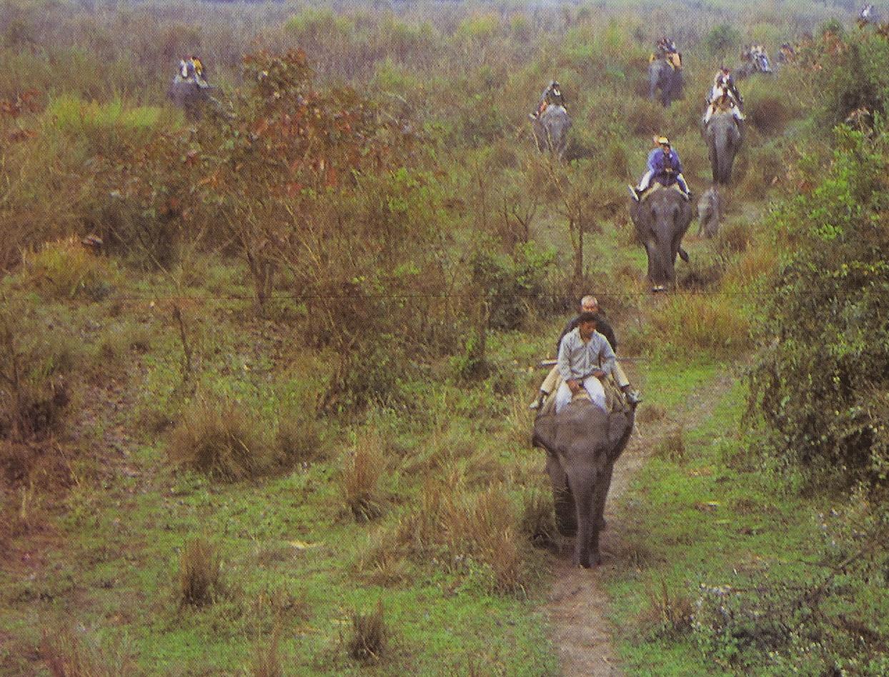 Manas Kaziranga Tour Package