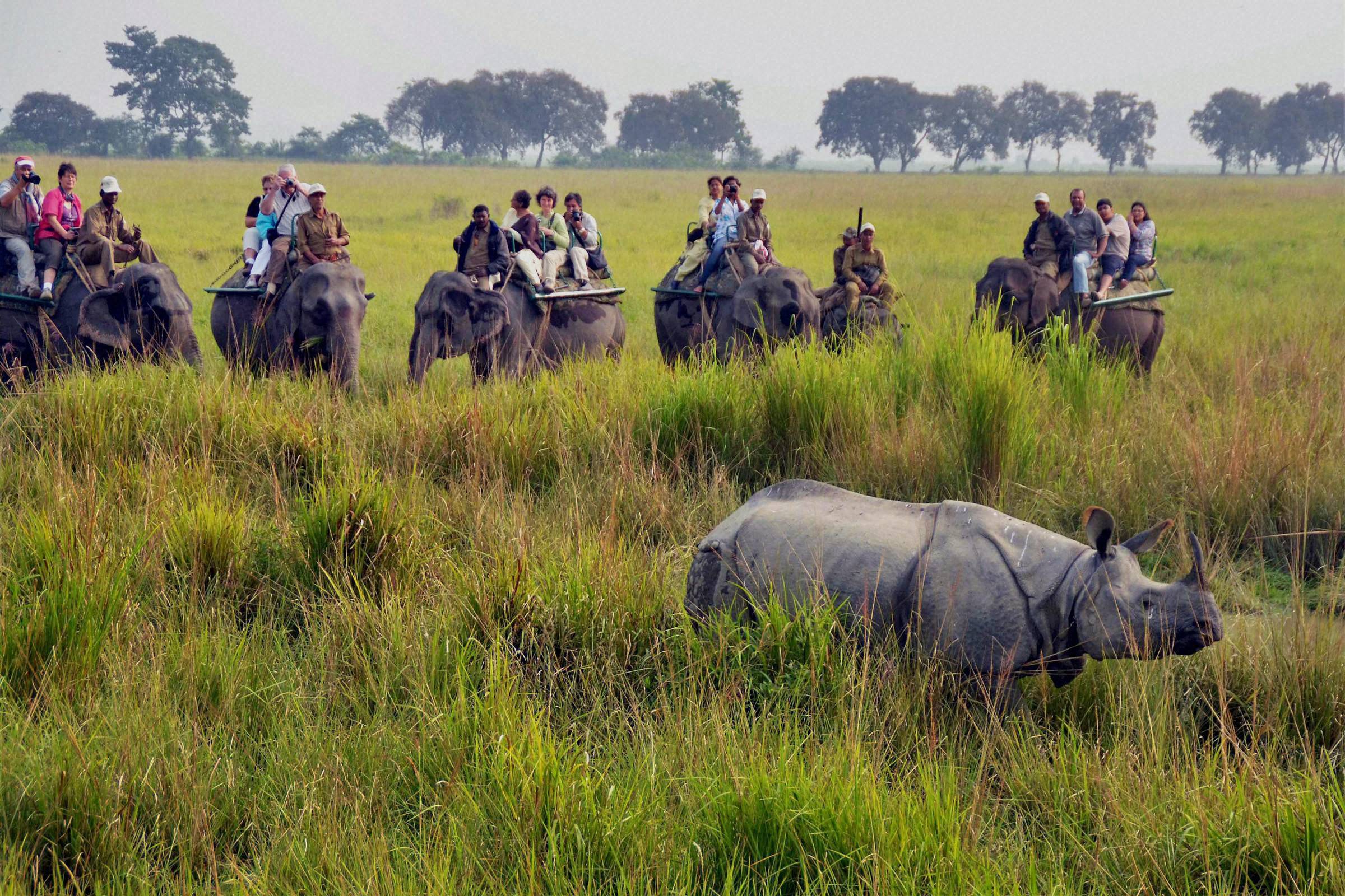 Manas Kaziranga Tour Package