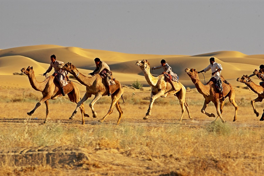 Rajasthan Desert Safari Tour