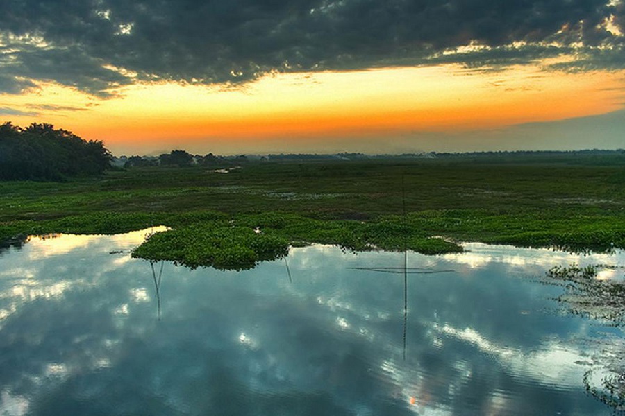 Majuli Island Tour