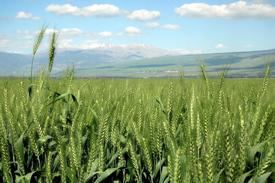 Agricultural Farm Tour India