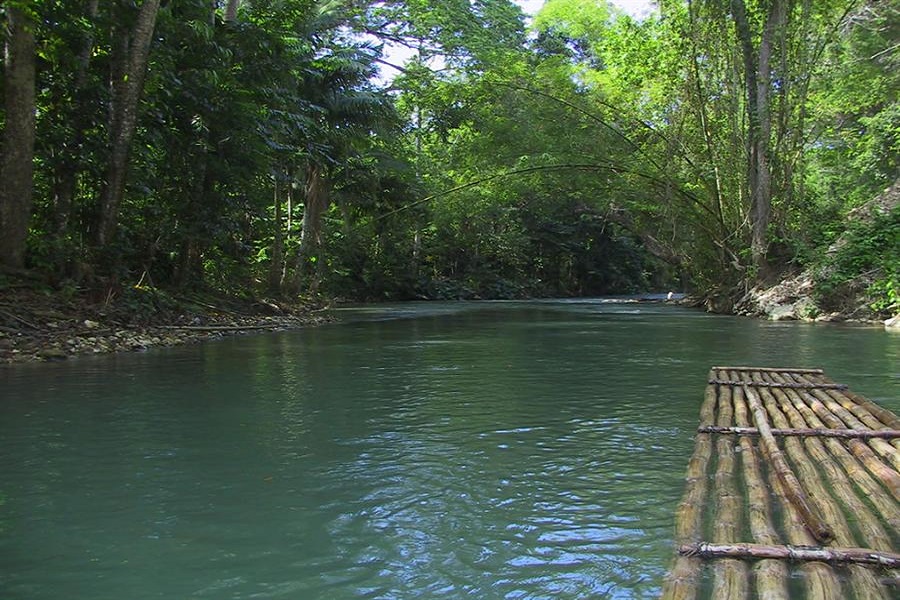 Jungle Trails of South India