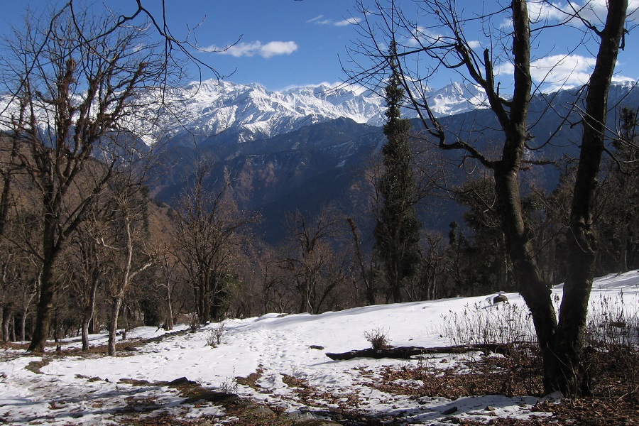 Dodital Trek 2025 (3024M)