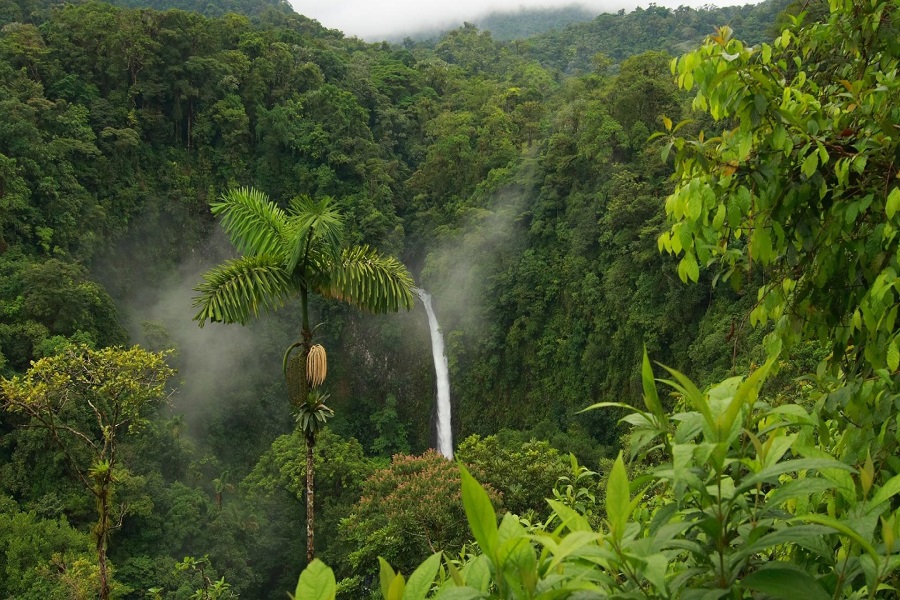 Kerala Dreams