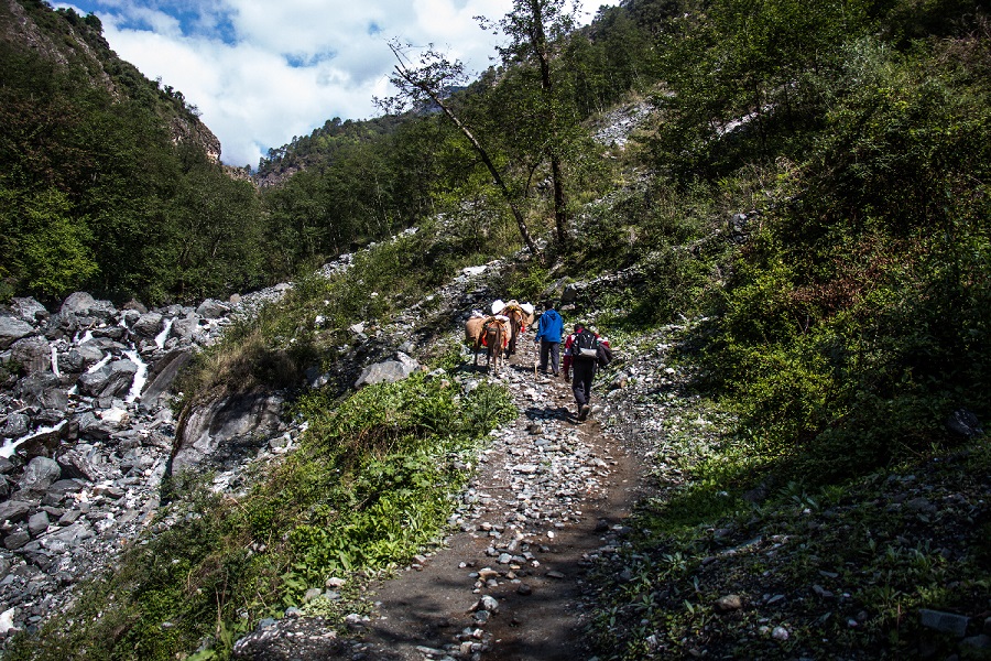 The Indian Himalayan Journey