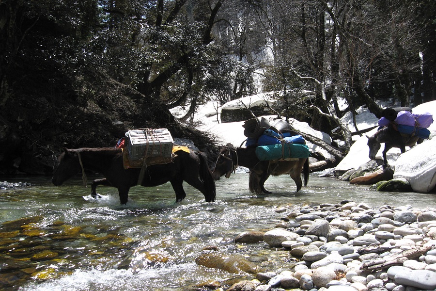 Mt. Deo Tibba Expedition (6001 M)