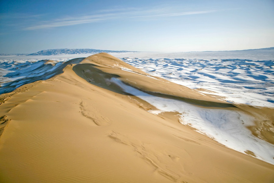 Gobi Desert Explorer