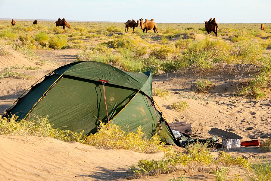 Gobi Desert Explorer