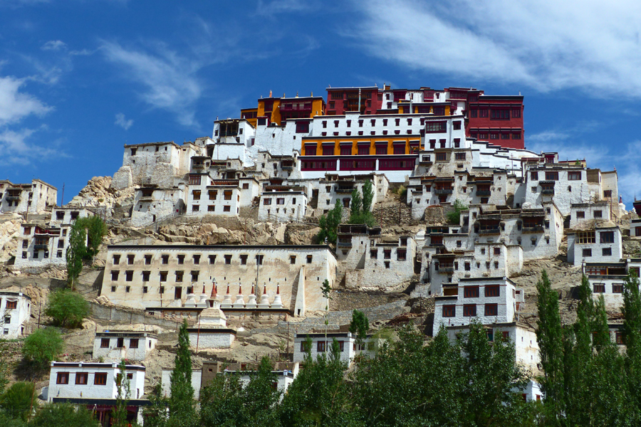 Snow Leopard Trek Ladakh