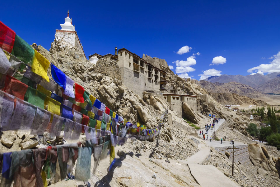 Snow Leopard Trek Ladakh