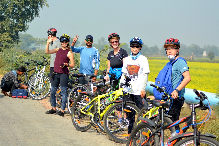 Cycling tours 