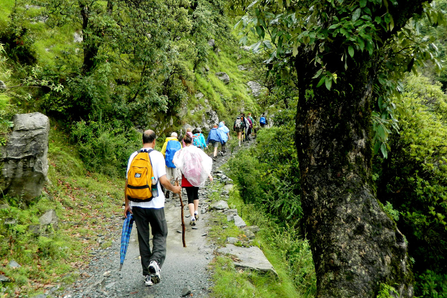 Triund Dharamshala Trekking Tour