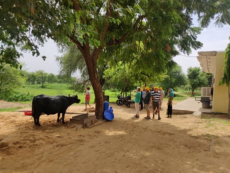 Agriculture Tour to India