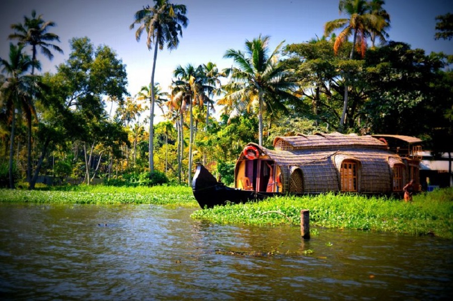 Kerala Backwaters and Hills