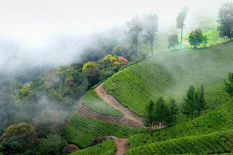 Romantic Kerala Tour