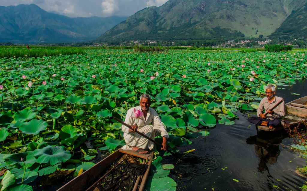 Stunning Kashmir Tour