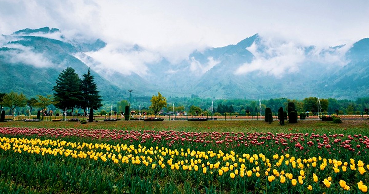 Stunning Kashmir Tour