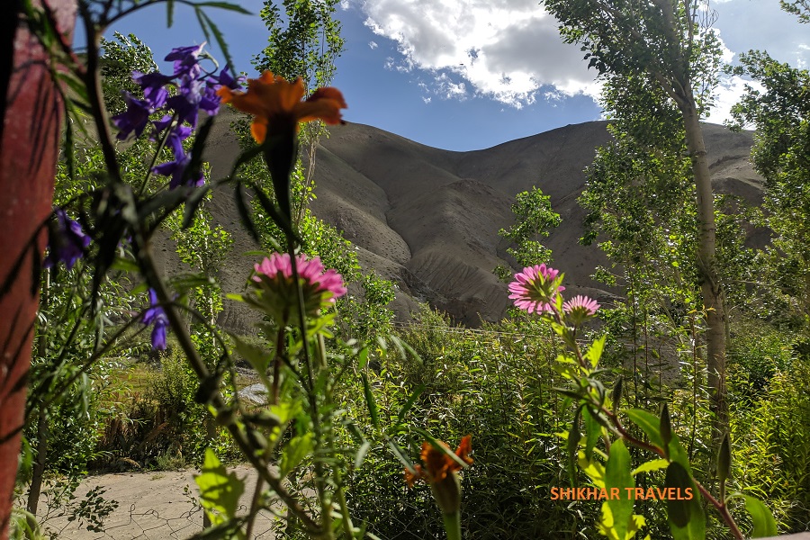 Exotic Ladakh Tour