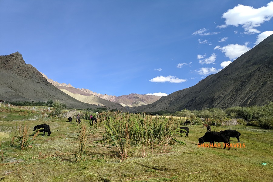 Exotic Ladakh Tour