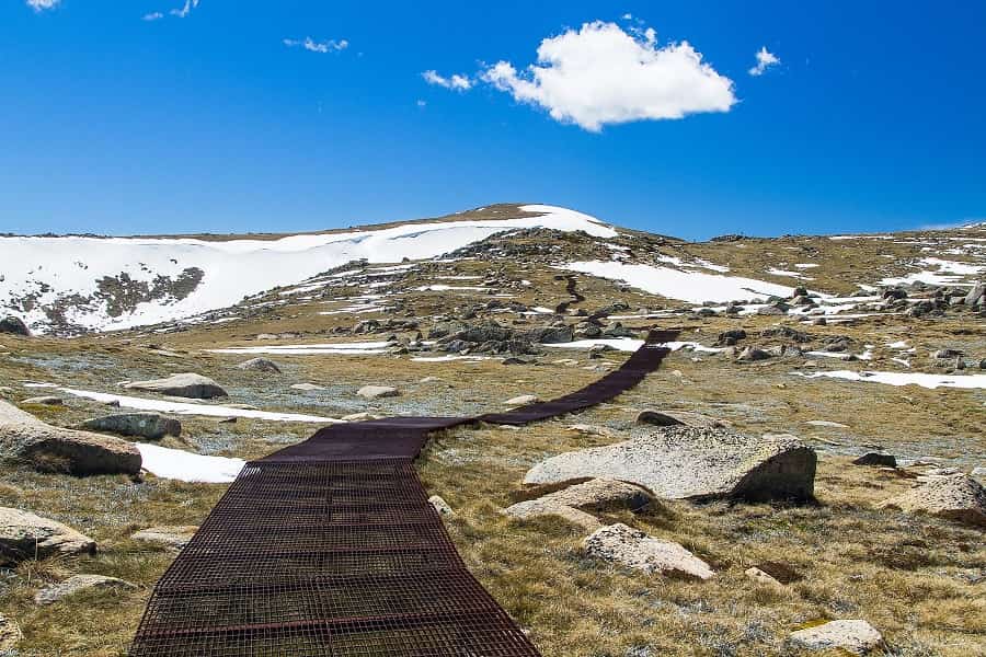 Mt. Kosciuszko Expedition