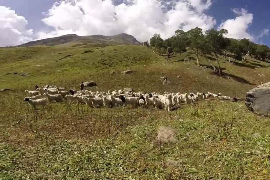 Lamkhaga Pass Trek