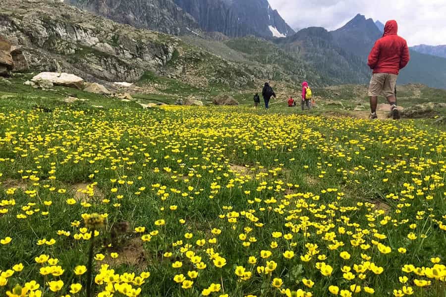 Kashmir Great Lakes Trek