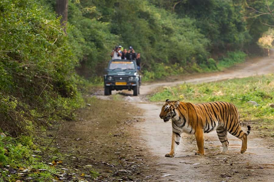 Delhi to Jim Corbett Tour Package