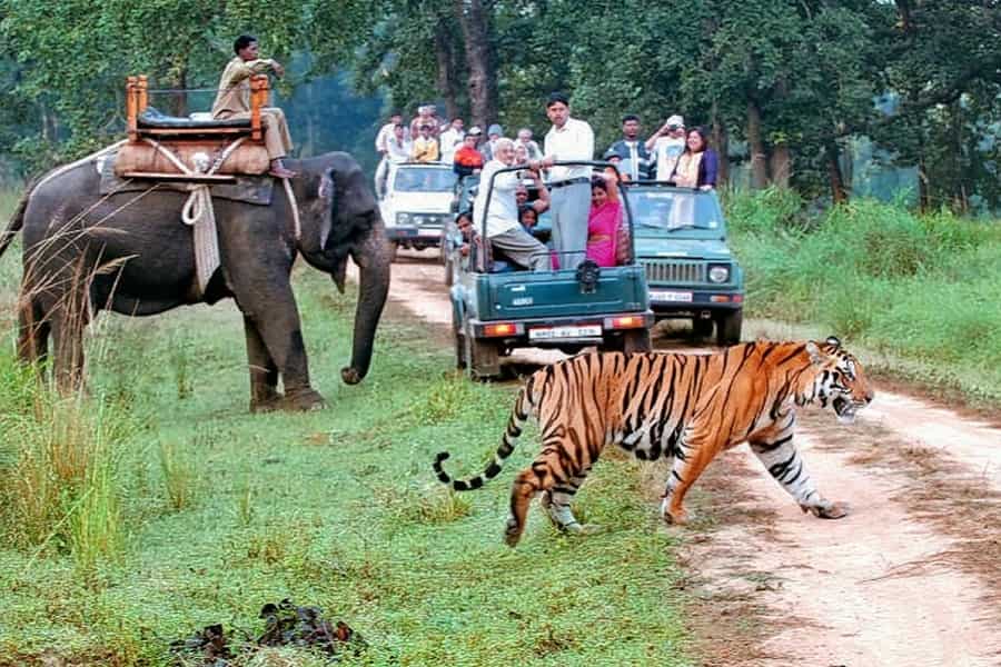 delhi to jim corbett road trip time