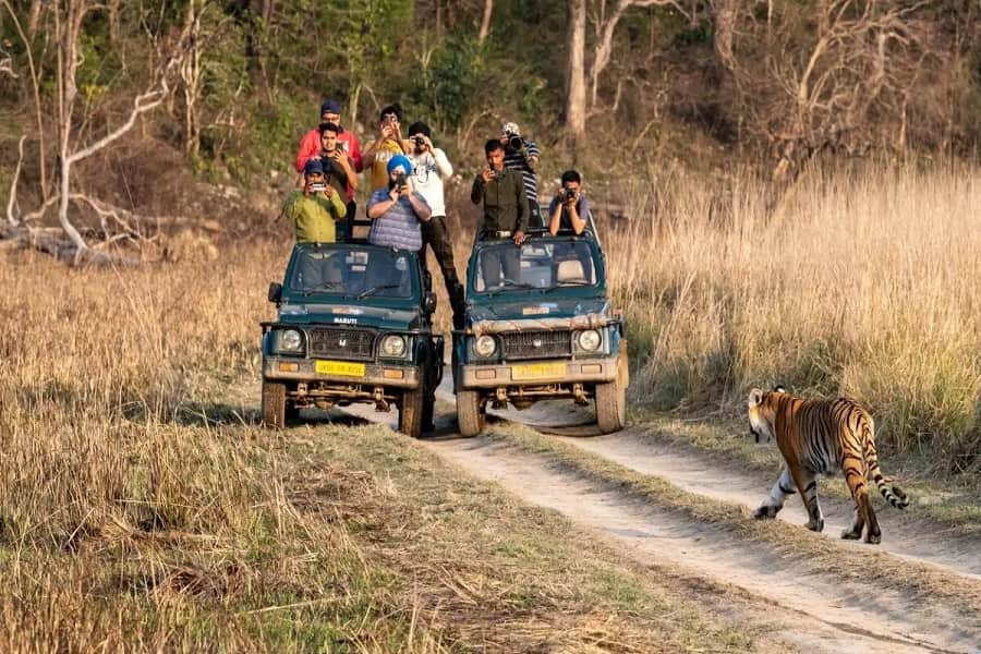 Corbett Wildlife Safari