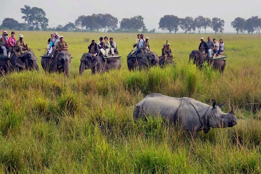 Manas, Nameri and Kaziranga National Parks Tour