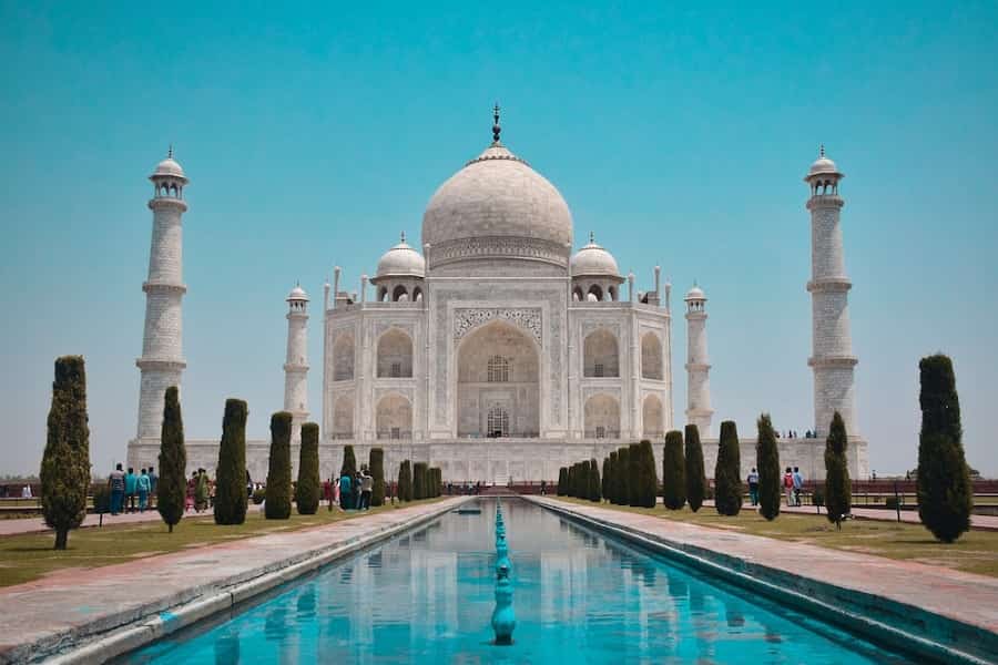 Wildlife Photography Tour with Taj Mahal